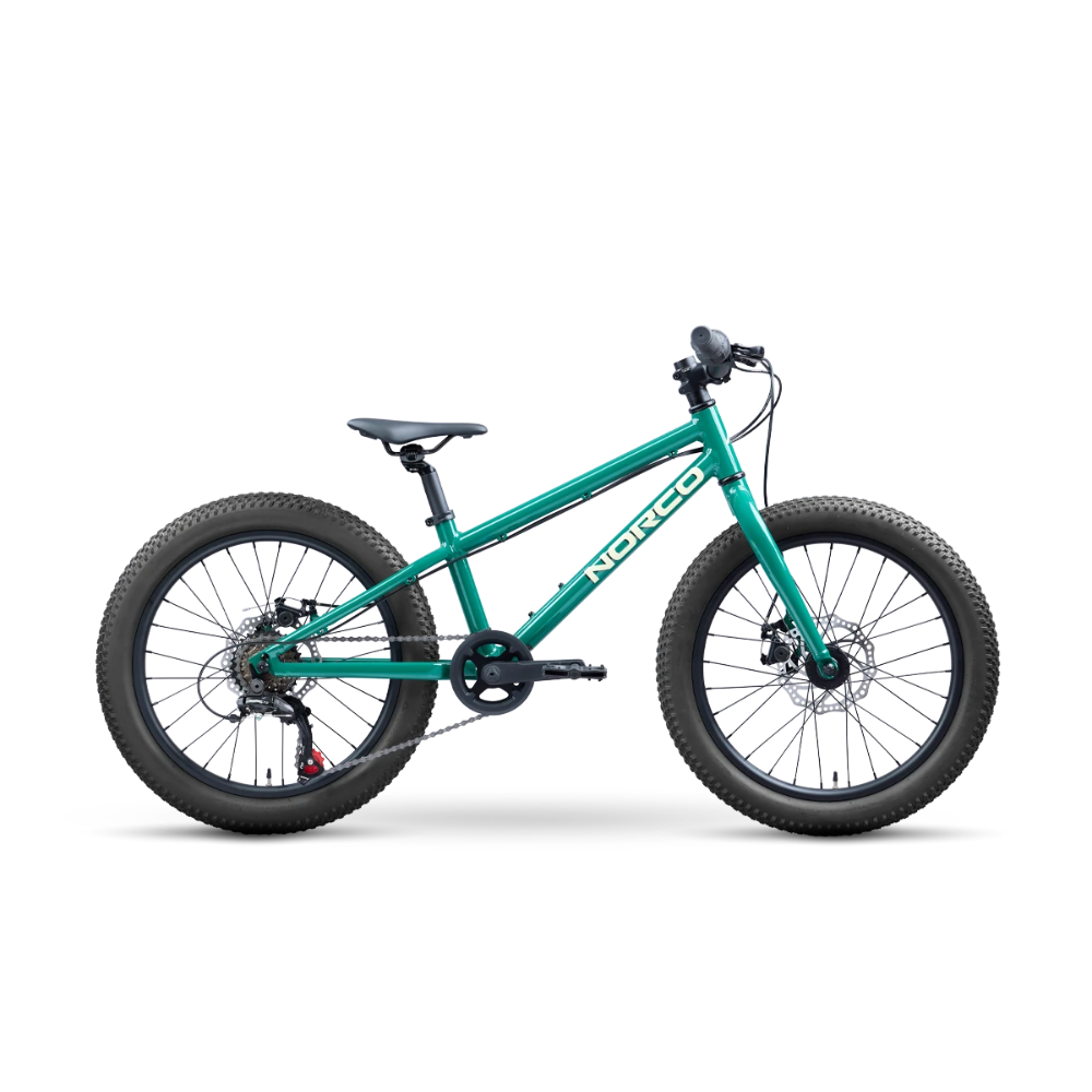 Bicicleta Infantil Norco Storm 20 Disc Aro 20 Verde