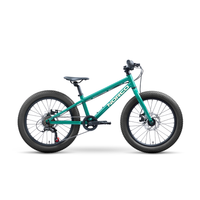 Bicicleta Infantil Norco Storm 20 Disc Aro 20 Verde