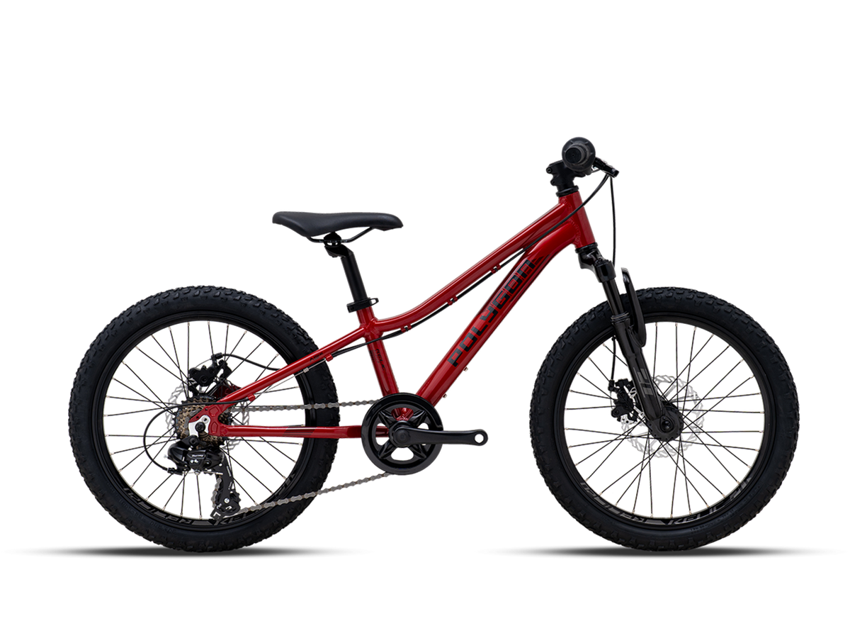 Bicicleta Infantil Polygon Relic20 20x10 Roja